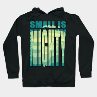 Small Is Mighty Hoodie